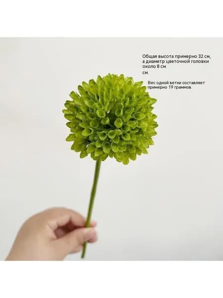 Стабилизированные цветы