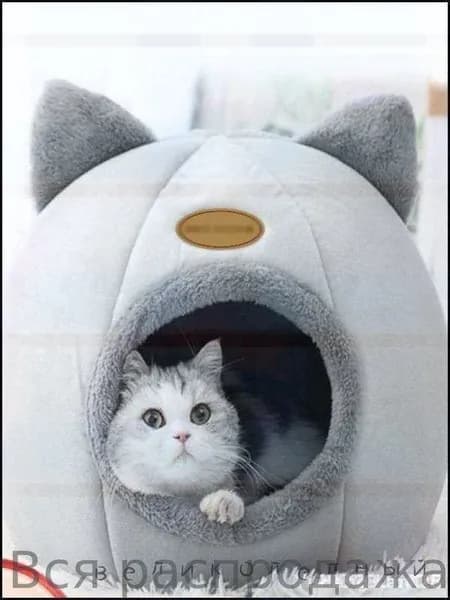 Домик для животных