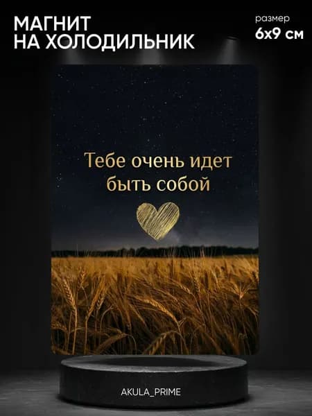 Магнит на холодильник с надписью 6*9 см, мотивационный