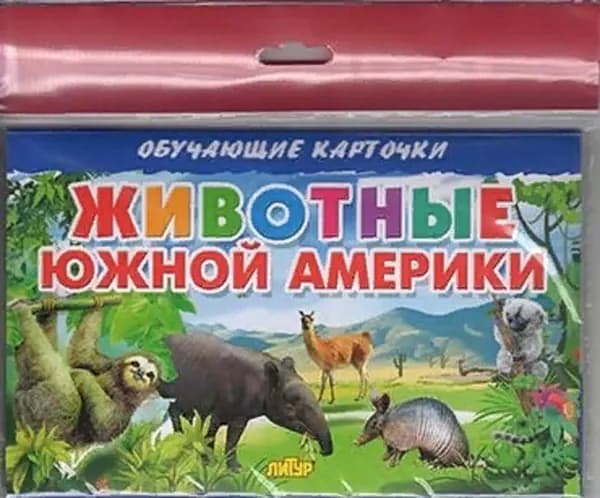 Обучающая книга. Животные Южной Америки