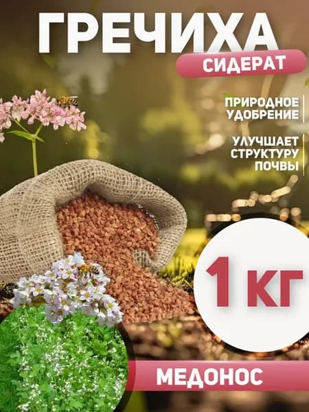 Гречиха сидерат семена 1 кг