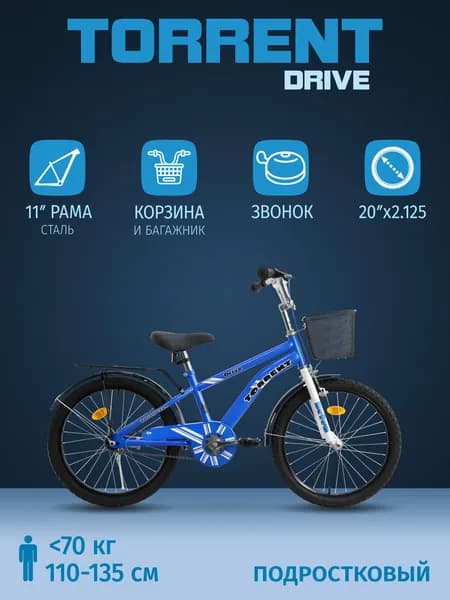 Детский велосипед TORRENT Drive (Дорожный, 1 скорость, рама сталь, колеса 20", корзина)