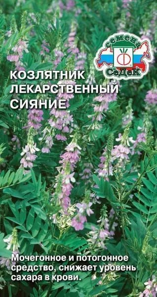 Семена пряности Козлятник Сияние лекарственный