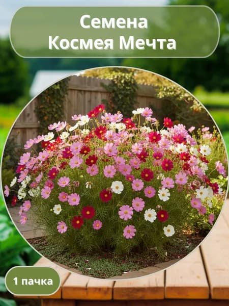 Космея Мечта, семена 10 шт