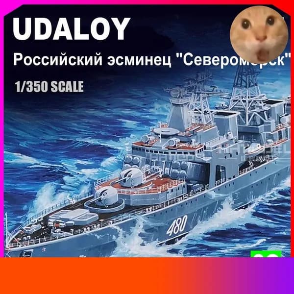 Премиумнабор Trumpeter 04517, масштаб 1/350, эсминец Североморск класса Храбрый ВМФ РФ