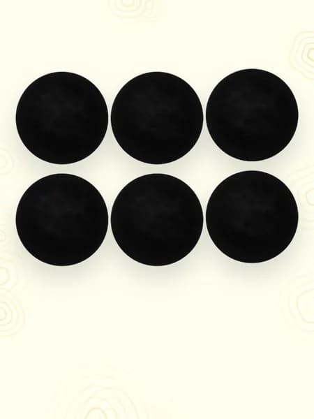 6x Губка HEPA фильтр для пылесоса для ухода за животными