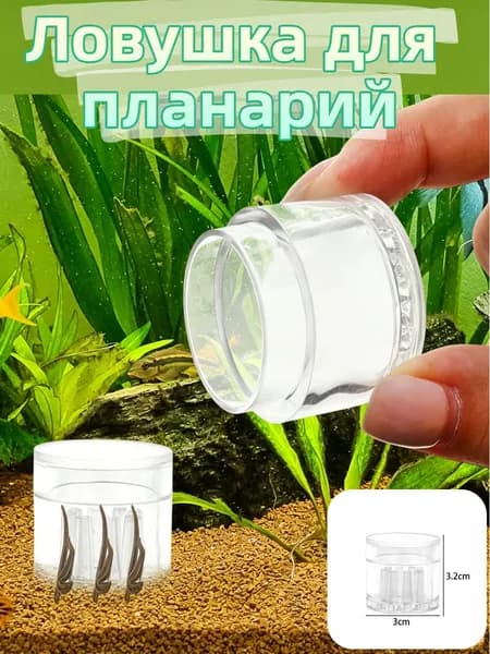Ловушка для планарий, прозрачная, 1/3/5 шт.