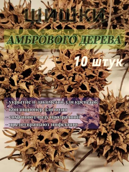 Шишки амбрового дерева для креветочника