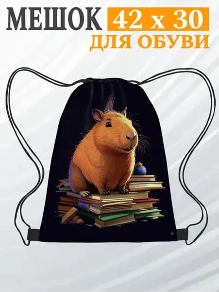 Рюкзак сумка для сменной обуви Капибара