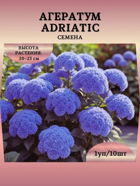 Агератум "Adriatic" семена, 1 пачка