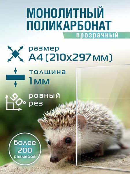 Монолитный поликарбонат 1мм формат А4 прозрачный 1 шт