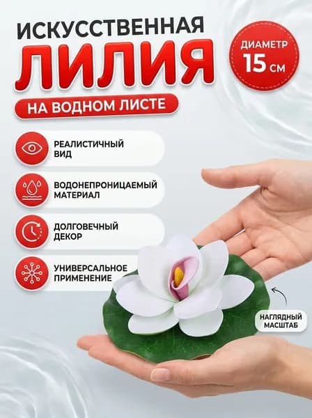 Растение водоплавающее "Кувшинка Экзотик" d-15см белая