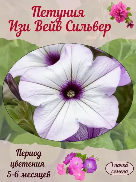 Петуния Изи Вейв Сильвер, семена, 10 шт., 15 гр.