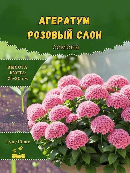 Агератум "Розовый Слон" семена, 1 пачка