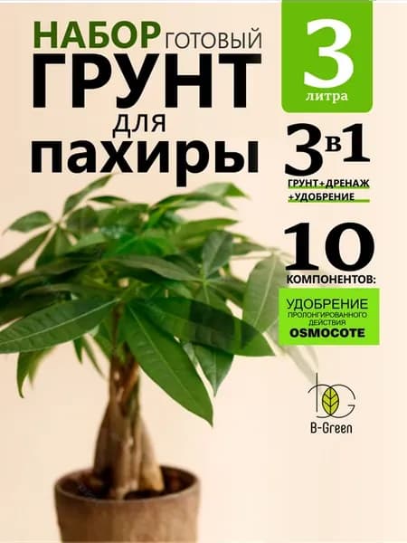 Грунт для Пахиры Фикуса Гинсенг Адениума Диоскореи