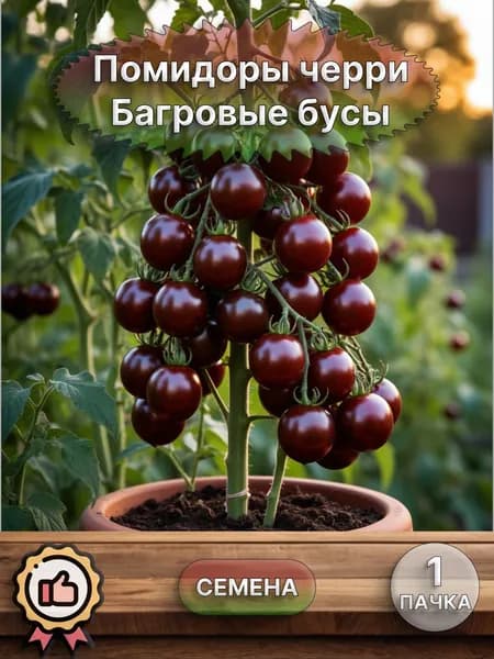 Помидор Багровые бусы, семена 10 шт