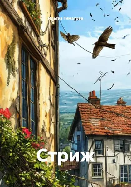 Стриж | Ильгиз Гиматова | Электронная книга