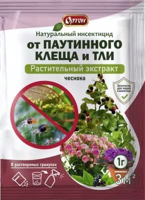 от паутинного клеща для комнатных растений