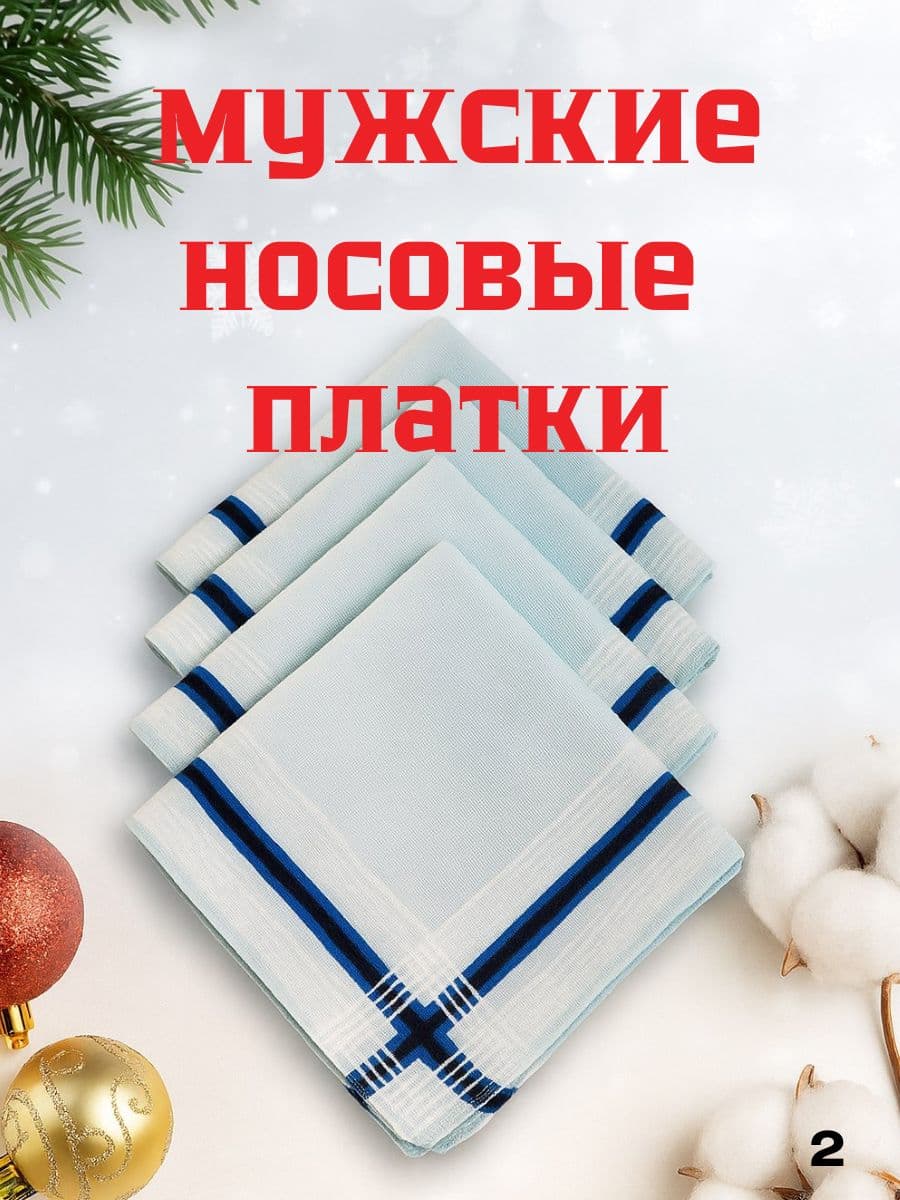 Набор мужских носовых платков "Бирюза" 5 штук