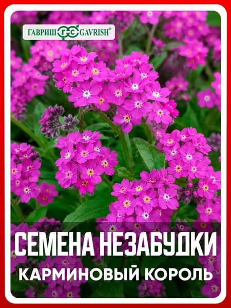 Семена цветов двулетних Незабудка "Карминовый король" 0,05 гр, для дачи, сада и огорода, клумбы, в открытый грунт, на рассаду, в контейнер.