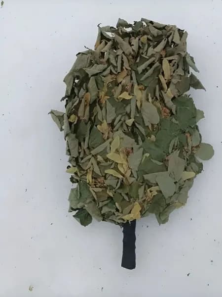 Веник для бани Липовый, 1 шт.
