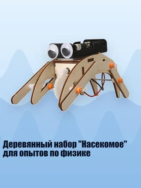Деревянный набор "Насекомое" для опытов по физике