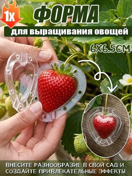 Форма для выращивания овощей60 х 65мм, Пищевой пластик, 1 шт