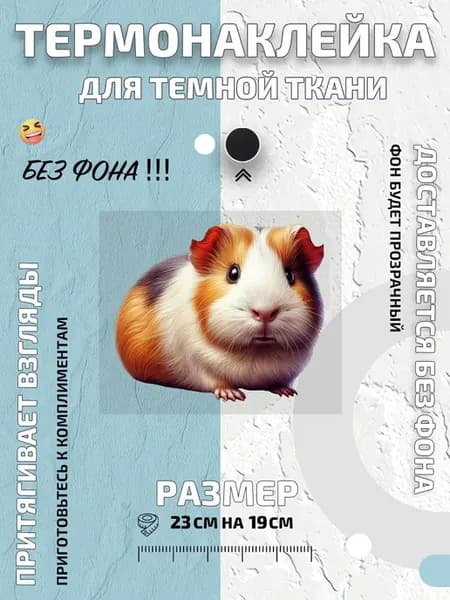 Термонаклейка морская свинка разноцветная морская свинка