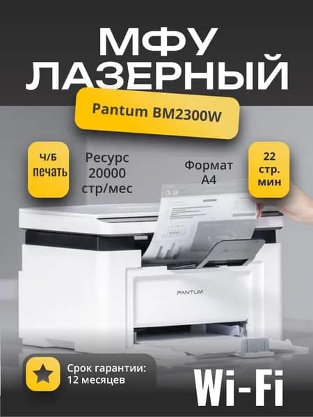 МФУ лазерное Pantum BM2300W, А4, USB 2.0, Wi-Fi, черно-белое