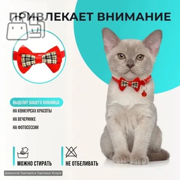Ошейник для собак из шерсти, ежедневное использование