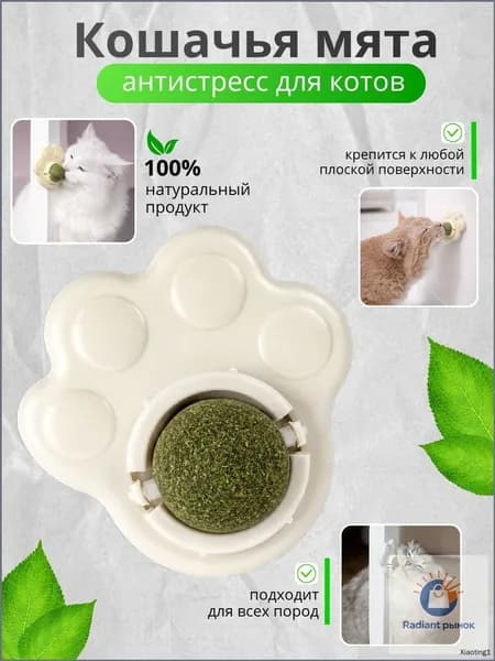 Кошачья мята, антистресс, лакомство для кота