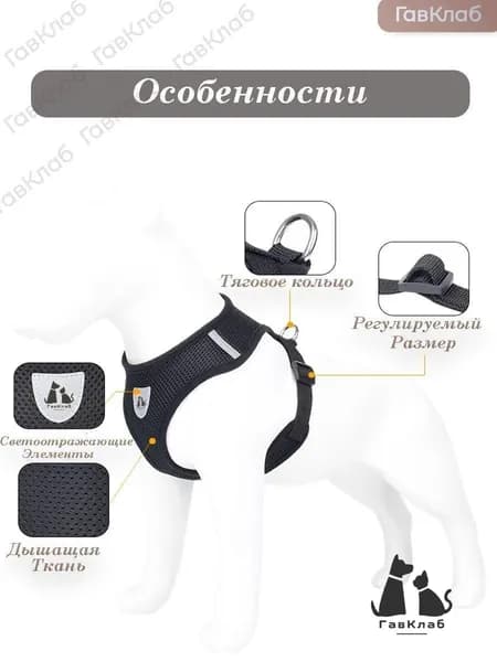 Шлейка для собак мелких и средних пород с поводком