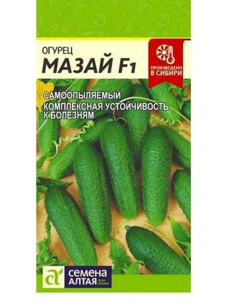 Семена огурец Мазай F1, Семена Алтая, 1 цв.п 5 семян, раннеспелый,самоопыляемый,пучковый