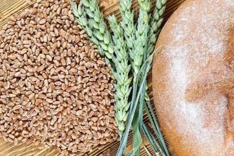 Пшеница кормовая для курочек, голубей, с/х животных...500 грамм. Очищенная. Урожай 2025г.