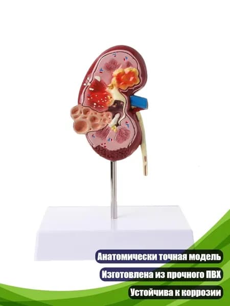 Медицинская карта