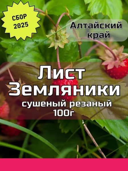 Лист земляники сушеный резаный. Сбор 2025. 100г. Лесной Алтай