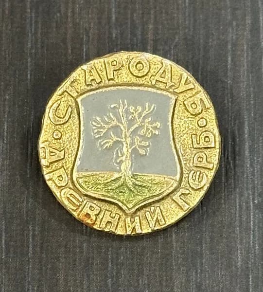 Винтажный значок СССР "Стародуб. Древний герб"
