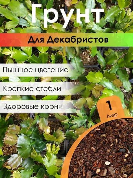 Грунт для Декабристов Крот Крут 1 литр