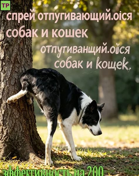 Спрей для коррекции поведения кошек и собак, 100 мл