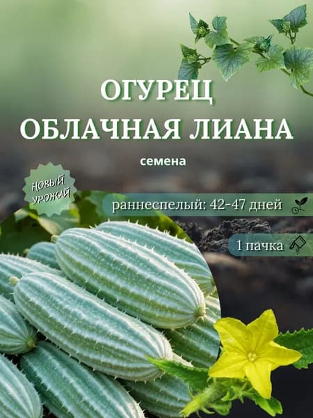 Огурец Облачная лиана, семена, 10 шт.