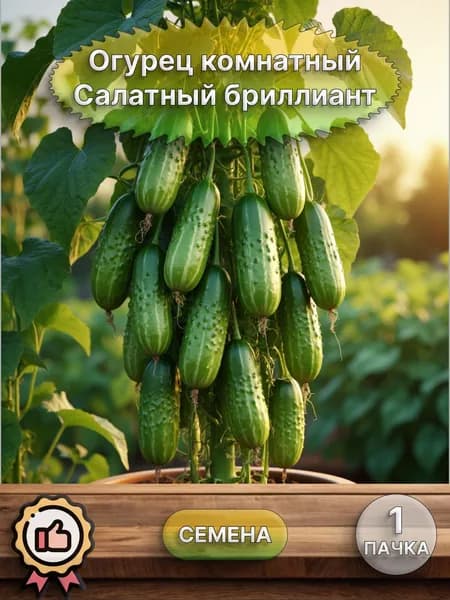 Огурец комнатный Салатный бриллиант, семена 10 шт