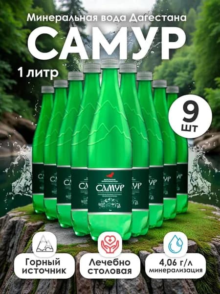 Вода минеральная САМУР лечебно-столовая газированная, 1л х 9шт. ПЭТ