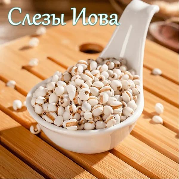 Слезы Иова 100 грамм
