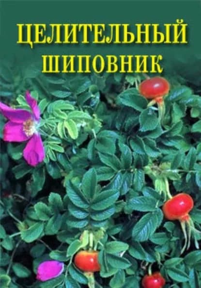 Целительный шиповник | Дубровин Иван Ильич | Электронная книга