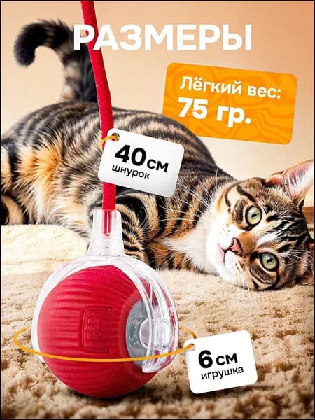 Эксклюзивная забава для питомцев