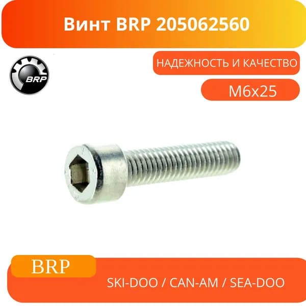 Оригинал/ Винт BRP 205062560
