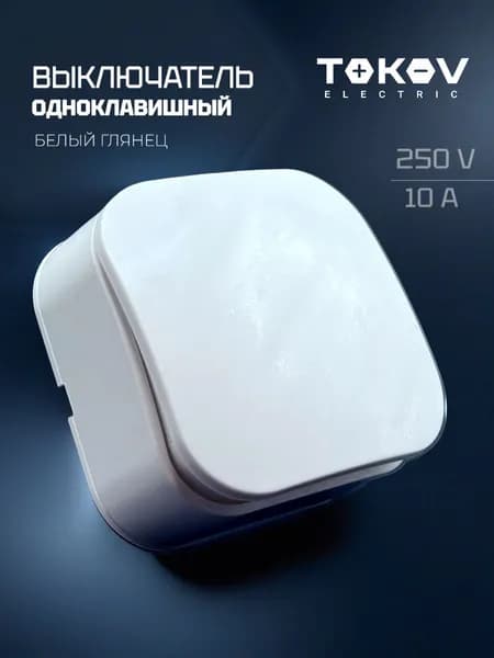 Выключатель одноклавишный белый накладной 250В TKE-FR-V1-C01