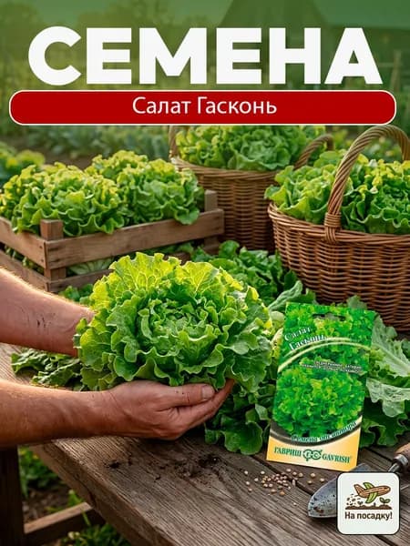 Салат Гасконь 0,5 г / Гавриш
