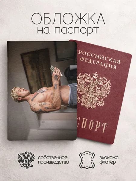 Обложка на паспорт Райан Гослинг с деньгами