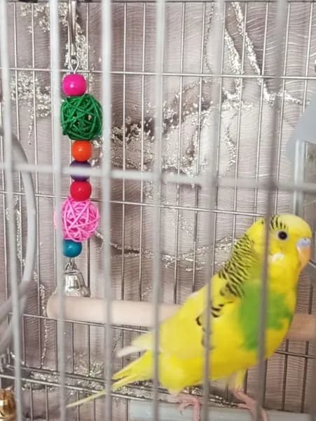 Игрушка для попугаев в клетку